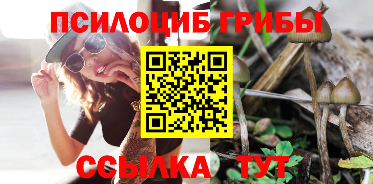 Галлюциногенные грибы прущие грибы Железноводск